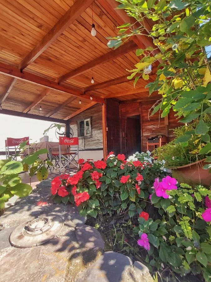 Cabana La Herencia Βίλα San Salvador de Jujuy Εξωτερικό φωτογραφία