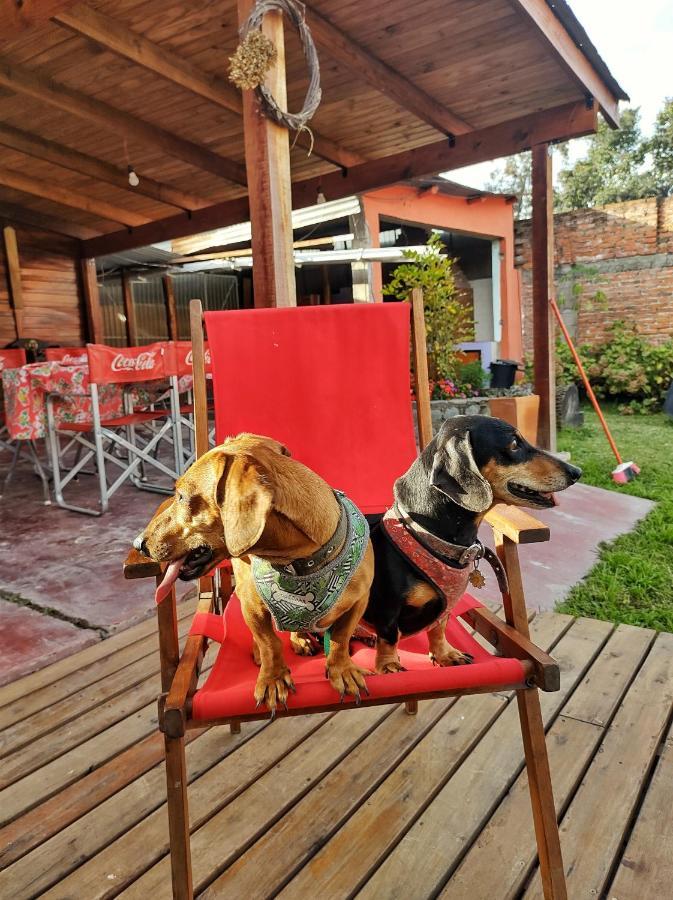 Cabana La Herencia Βίλα San Salvador de Jujuy Εξωτερικό φωτογραφία
